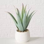 Boltze Home, sztuczna roślina aloes w donicze, Mondrago, 29 cm