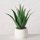 Boltze Home, sztuczna roślina aloes w donicze, Mondrago, 29 cm