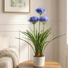 Botanical Decoration, Agapant, sztuczny kwiat w doniczce, 50-80 cm