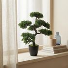 Botanical Decoration, sztuczne drzewko bonsai w doniczce, 32-32-50 cm