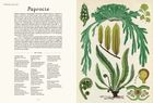 Botanicum