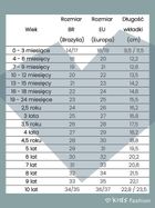 Buty sportowe chłopięce, czarne, świecąca podeszwa, Bibi Shoes