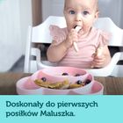 Canpol babies, Miś, talerzyk silikonowy z przyssawką, turkusowy