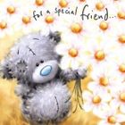 Carte Blanche, karnet urodzinowy, for a special friend