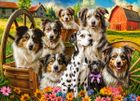 Castorland, Happy Dogs In The Countryside, puzzle, 260 elementów