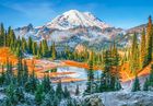 Castorland, Mount Rainier National Park USA, puzzle, 1000 elementów
