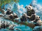 Castorland, Pandas Winter Fun, puzzle, 2000 elementów