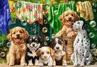 Castorland, Puppies, Laundry And Bird Antics, puzzle, 500 elementów
