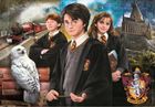 Clementoni, Harry Potter, puzzle, 1000 elementów