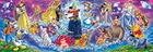 Clementoni, Panorama Disney Family, puzzle, 1000 elementów