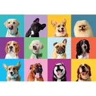 Clementoni, Super, Funny Faces, puzzle, 300 elementów