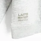 Cool Club, Bluza chłopięca z kapturem, ocieplana, oversize, szara