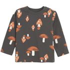 Cool Club, Bluzka chłopięca z długim rękawem, mix, zestaw, 3 szt.