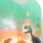 Cool Club, Bluzka chłopięca z długim rękawem, szara