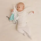 Cool Club, Body dziewczęce z długim rękawem, mix, zestaw, 3 szt.