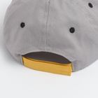 Cool Club, Czapka z daszkiem chłopięca, szara, Minionki