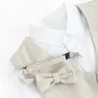 Cool Club, Komplet chłopięcy, Koszula z długim rękawem, Kamizelka, Mucha, mix