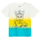 Cool Club, Komplet chłopięcy, T-shirt, Szorty, mix, Psi Patrol
