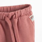 Cool Club, Spodnie dresowe chłopięce, ocieplane, brązowe