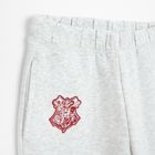 Cool Club, Spodnie dresowe dziewczęce, wide leg, szare, Harry Potter