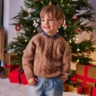 Cool Club, Sweter chłopięcy, brązowy