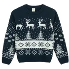 Cool Club, Sweter chłopięcy, granatowy