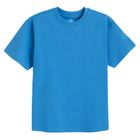 Cool Club, T-shirt chłopięcy, niebieski