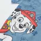 Cool Club, T-shirt chłopięcy, niebieski, Psi Patrol