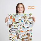 CzuCzu, puzzle odkrywcy, Dzika przyroda, 300 elementów