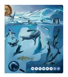 Czytaj z Albikiem. Tajemnice mórz i oceanów