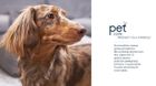 Dew Pet Care, środek do pielęgnacji ran dla zwierząt, 2,5l