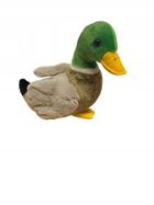 Dubi, Kaczka, maskotka, 28 cm