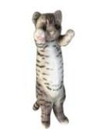 Dubi, Kot stojący, maskotka, ciemno-szary, 25 cm