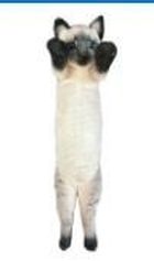 Dubi, Kot syjamski stojący, maskotka, 55 cm