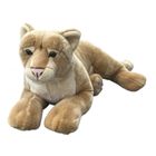 Dubi, Lwica, maskotka, 70 cm