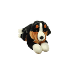 Dubi, Pies Berneński, maskotka, 30 cm