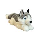 Dubi, pies husky, maskotka, 42 cm