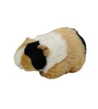 Dubi, świnka morska, łaciata, maskotka, 20 cm