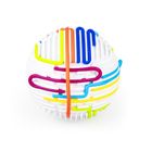 Dumel Discovery, Kolorowa Przeplatanka, gra zręcznościowa