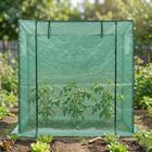 Edenia, Tevo, szklarnia foliowa, 77-200 cm