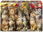 Educa, Kocięta i Ptaki, puzzle, 500 elementów