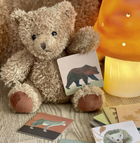 Egmont Toys, Las, Memo, gra pamięciowa