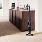Electrolux, odkurzacz, WQ61-46DB