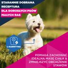 Eukanuba, Mature Small, kurczak, karma sucha dla psów, 3 kg
