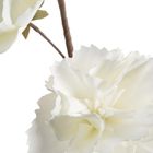 Eurofirany, kwiat flore, 10-70 cm, biały