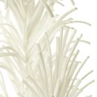 Eurofirany, kwiat Flore, 100 cm, biały