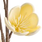 Eurofirany, kwiat flore, 11-69 cm, kremowy