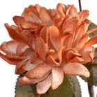 Eurofirany, kwiat flore, 12-67 cm, jasnobrązowy