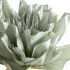 Eurofirany, kwiat flore, 13-63 cm, jasnozielony