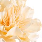 Eurofirany, kwiat flore, 13-63 cm, kremowy